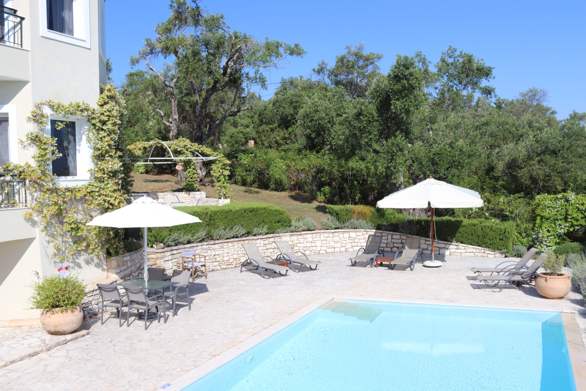 Swimming Pool & Pergola